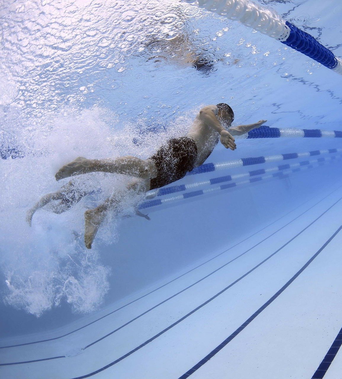bourse sportive usa natation